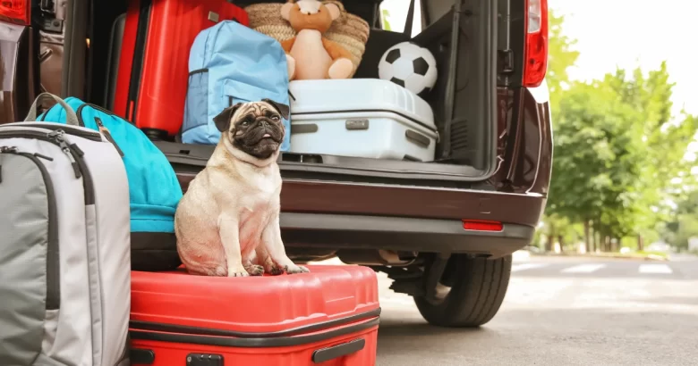 Viajando com seu PET